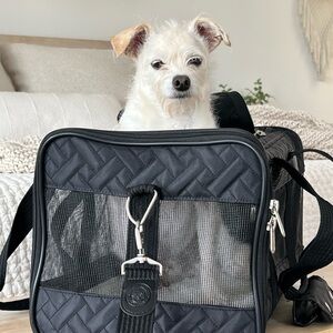 Dog travel carrier
